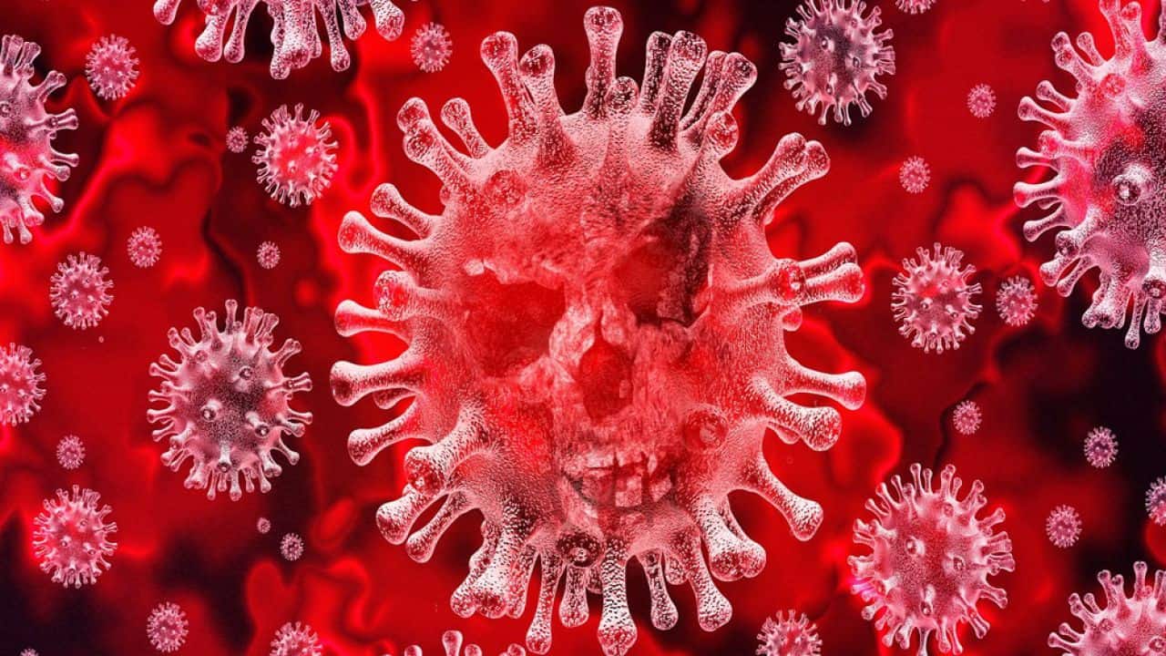 Risultato immagini per coronavirus immagine