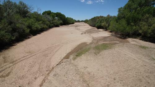 Río Grande en Albuquerque, Nuevo México Río Grande en Albuquerque, Nuevo México