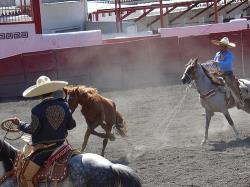 México reanuda el rodeo: Escuelas libres se vuelven charras México reanuda el rodeo: Escuelas libres se vuelven charras